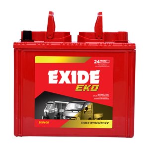 Auto Rickshaw Battery